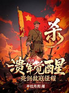 亮剑敌寇征程作者半拉月亮