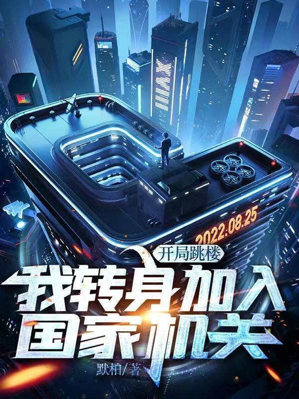 我转身投入国家机关