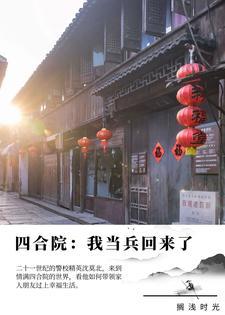 四合院我当兵回来了TXT