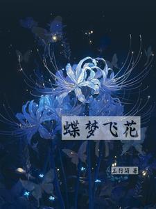 梦飞蝶幻