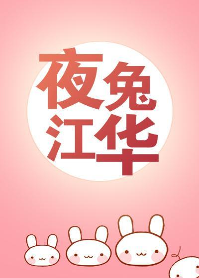 夜兔晋江
