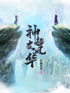 白夜起风华