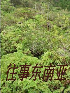 缅北难民进入中国