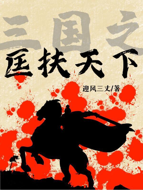 三国之天下r