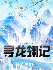 寻龙记ⅱ