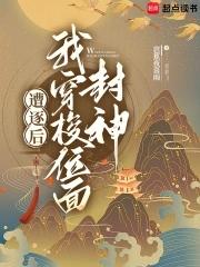遭逐后我穿梭位面封神txt