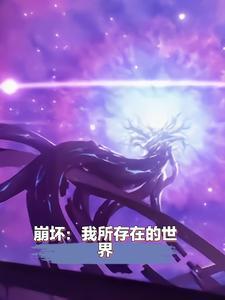 关于在崩坏世界的二三事