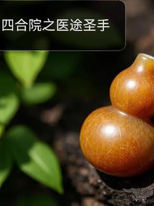 四合院之医途圣手森林里的啄木鸟