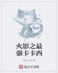 火影之最强卡卡西TXT百度