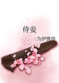 侍妾格格是什么意思