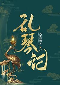 乱琴记gl