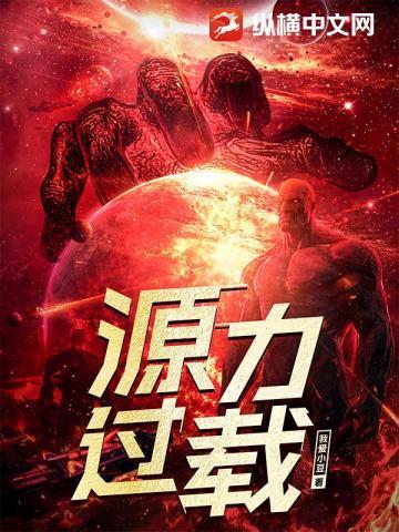 源力过载结局是什么