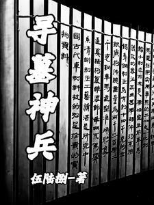 寻墓神兵